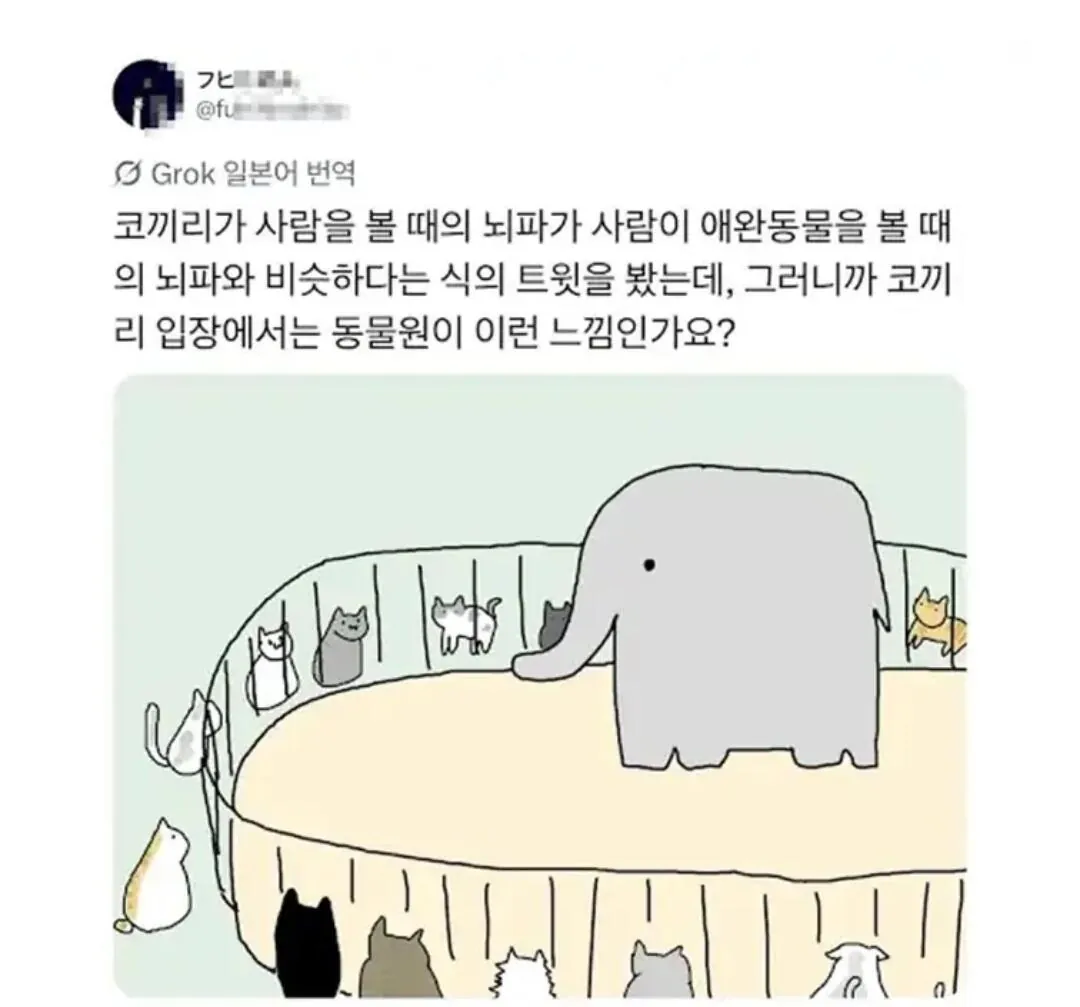 1000009692.jpg 코끼리는 동물원에 사람이 오는걸 가장 좋아한다고한다