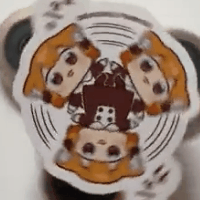 000_fa6e430e.gif